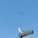 청송서예학원