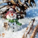 눈결정 내리기(이원우) 이미지