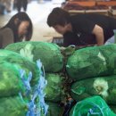 보일농수산 이미지