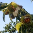 향기농장 이미지