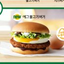 버거나라 이미지