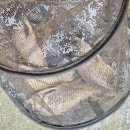 성호좌대 이미지