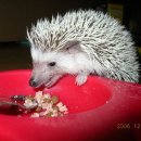 금계농장 이미지