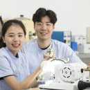 상아치과기공소 이미지