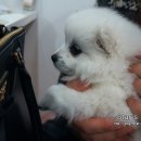 주앤동물병원 이미지