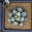 지양농장 이미지