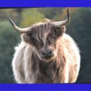 우림농산물 이미지