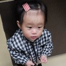 유나축산 이미지