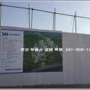 미가온 이미지
