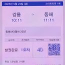 [강릉 여행] 극 P 인간의 혼자 여행, 산타 열차 후기까지 - 2일차의 첫 번째
