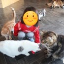 플레이 키즈몽 이미지