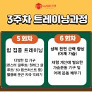 피티메이드