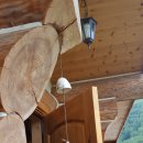 로그캐빈다래 이미지