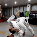 보은로 이미지