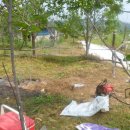 순양농장 이미지