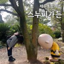 동백원 | 제주 동쪽 여행코스 , 스누피가든 할인 소요시간 도슨트 투어 솔직후기!