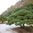 의령군청 이미지