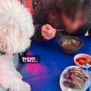 군민족발 | 양평 가볼만한곳 용문천년시장 5일장 먹거리 볼거리