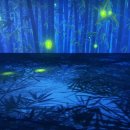 오죽헌충전소 이미지