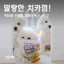 덴탈링크 | 노령견 덴탈껌 추천, 강아지 말랑 부드러운 껌 닥터뮨 쿠앙 말랑스틱 산양유 후기