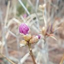 주상희행정사사무소 이미지