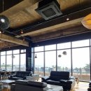 4339 | 여행📍구룡포 오션뷰 대형 브런치 카페 애견동반 가능하고 수영장도 있는곳 <vils4339>빌스4339 솔직후기