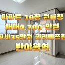 서호동-48 티스토리