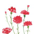 김해율하유치원 이미지