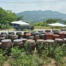 쏘갈매운탕 이미지