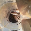 석곡낚시터 이미지