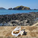 바라봄동물병원 이미지