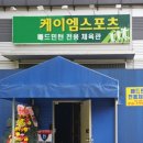 케이엠 스포츠 이미지