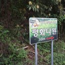 평화다원 네이버블로그