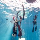 구정환 | 프리다이빙 라이센스 취득하러, 지인과 함께 왔어요~!![프리다이빙/프리다이빙강습/프리다이빙교육]