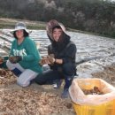 남도농장 이미지