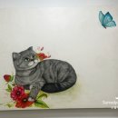 참좋은메디칼 이미지