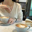 예쁜커피나무 이미지