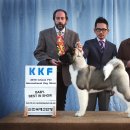 베스트오너 이미지