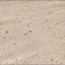 용산-현장-2403 이미지