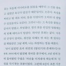 윤자영헤어