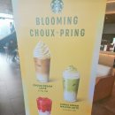 스타벅스 김해진영DT점 이미지