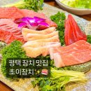 파리바게뜨 평택소사벌중흥점 | 평택 참치회 소사벌 참치 맛집 초이참치