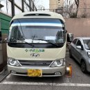 푸른솔관광 이미지