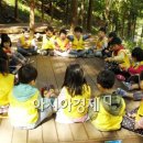 자연숲 유치원 이미지