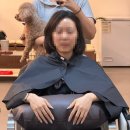 제이애견샵 | [제이플레이샵] 애견동반으로 댕댕이와 함께 전체 매직 후기 🐾