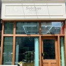 솔채 | 감각적인 광교 꽃집 솔채 스튜디오 솔직후기