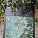 용마산 대삼각본점 | ^ 아차산(용.아)/ 231031.화/ 2345