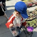 김포꽃농원