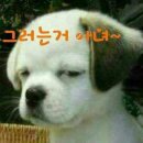 땡큐주유소