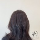 헤어티니 - 칠곡군 | 헤어티니